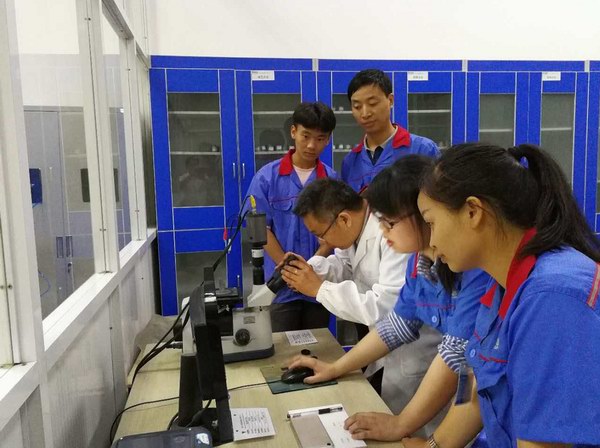 amjs�Ľ�ɳ����·(�й�)���޹�˾��ҳ