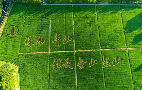 amjs�Ľ�ɳ����·(�й�)���޹�˾��ҳ