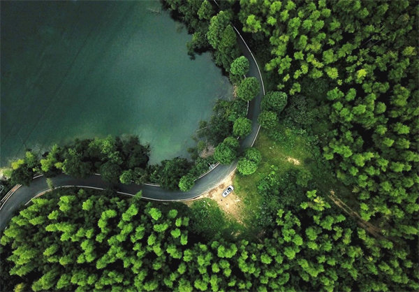 amjs�Ľ�ɳ����·(�й�)���޹�˾��ҳ