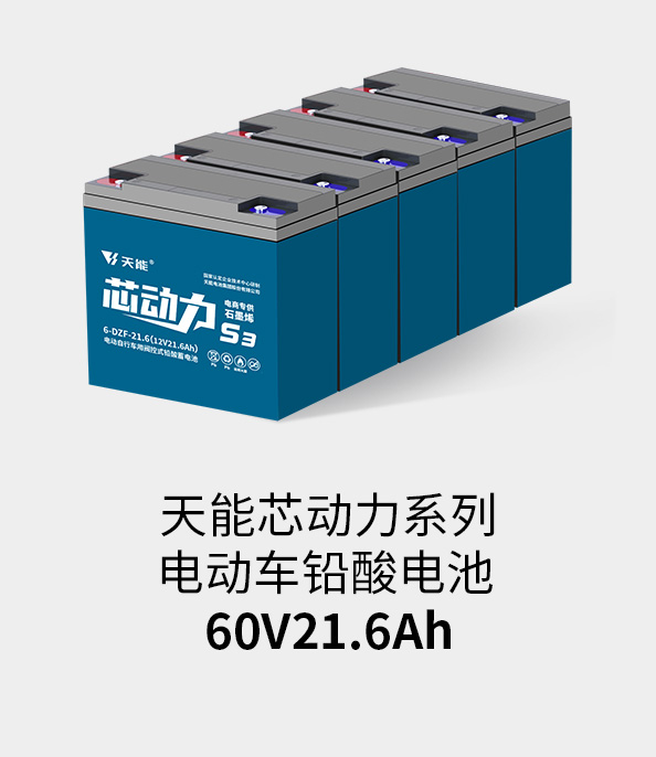 amjs�Ľ�ɳ����·��ҳ���60v20ah